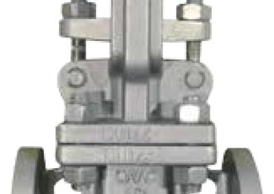 Cast Stainless Steel 150 Gate Valve Series – SS150GT