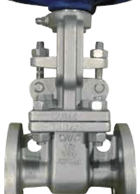 Cast Stainless Gate Valve Archives - Accurate Valve Automation