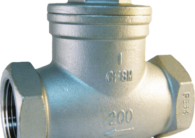Class 200 Stainless Steel Screwed End Check Valve Series – SS200CK