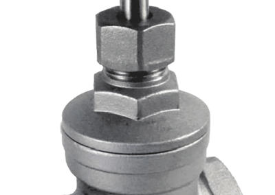 Class 200 Stainless Steel Screwed End Gate Valve Series – SS200GT